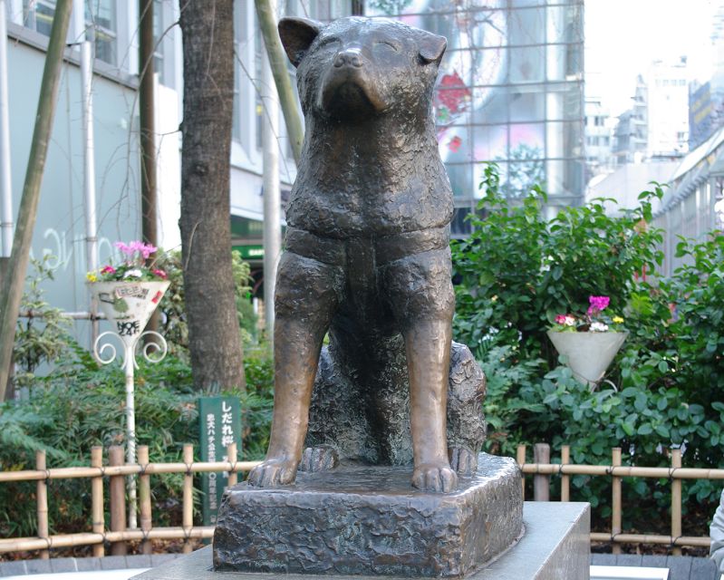 Audio Guide Tour: Deeper Experience of Shibuya Sightseeing - Tour Details and Flexibility