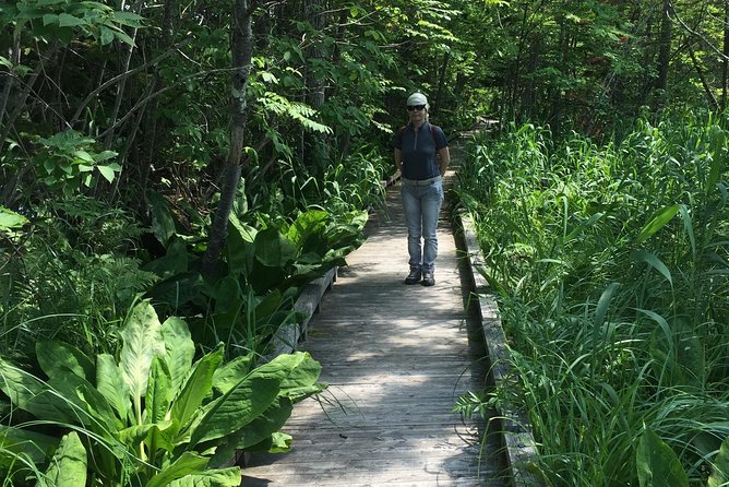 Caldera Lakes Mashu and Kussharo One Day Private Tour - Quick Takeaways