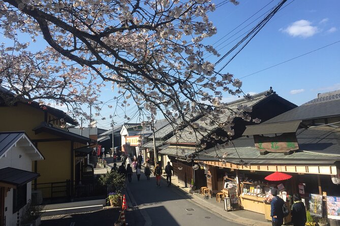 Cherry Blossom Buddha and Mt.Yoshino With Strawberry Picking Tour - Tour End Point