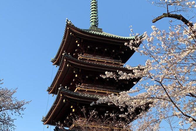 Cherry Blossom Tour in Tokyo - Customer Reviews