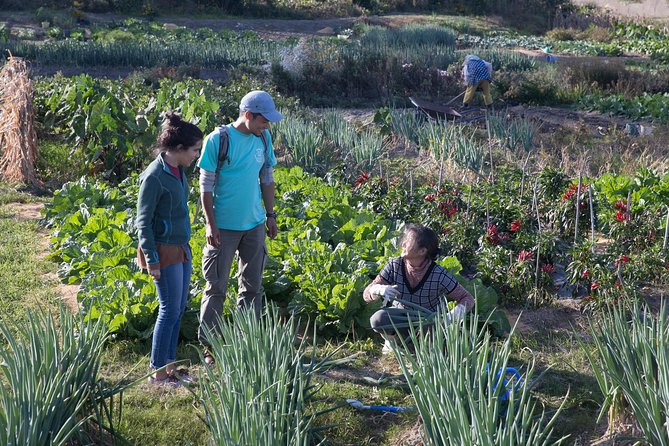 Cultural Cycling Tour on Notojima Island - Directions