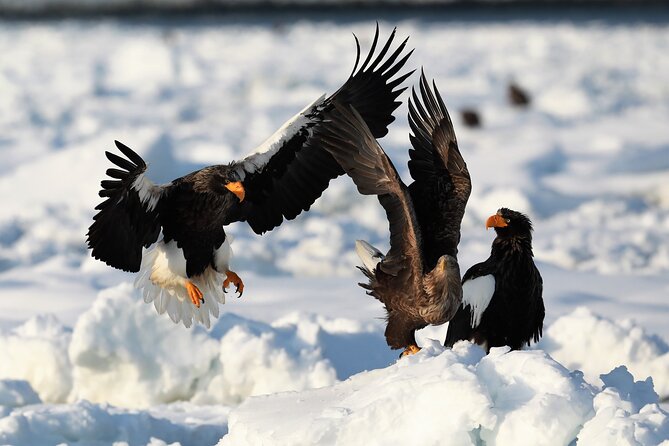 Drift Ice Walking 360 - Safety Guidelines