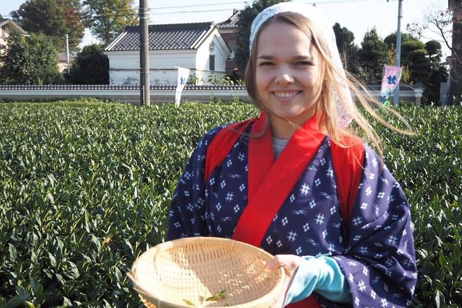 Experience Seasonal Green Tea Picking in Sayama and Nostalgic Walk in Kawagoe! - Cancellation Policy