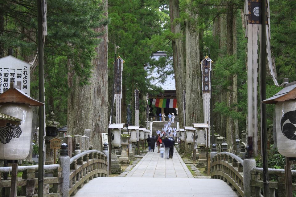 From Osaka: Mt. Koya Private Walking and Train Tour - Tour Inclusions