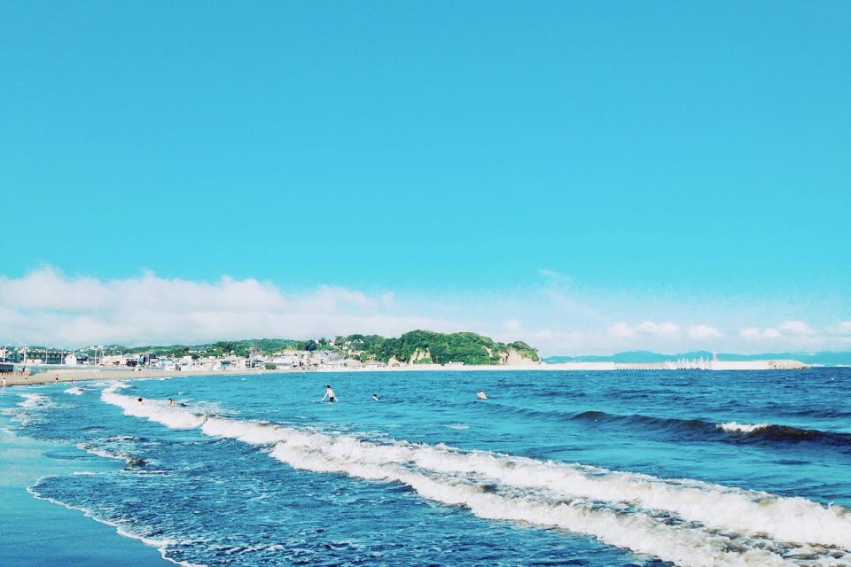 From Tokyo: Kamakura, Hachimangu Shrine & Enoshima Day Tour - Important Information