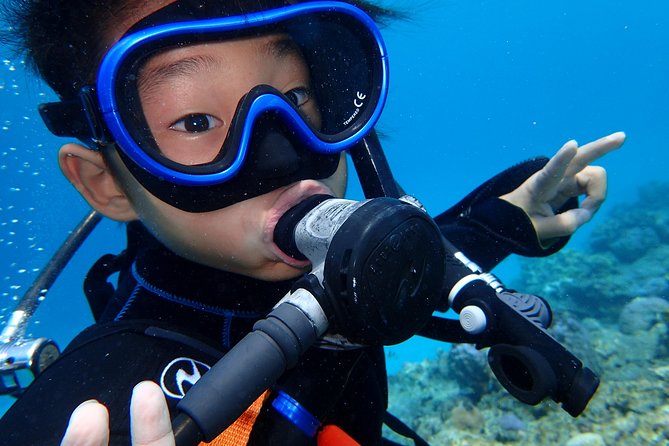 Full Day "Experience Diving" Trip at Kerama Islands - Meeting and Pickup Instructions