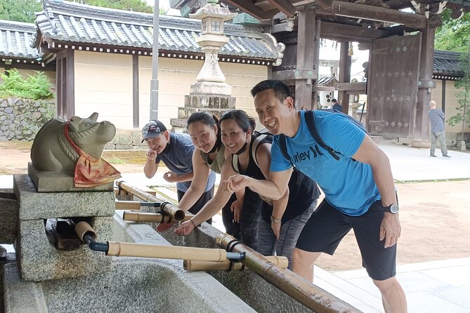 Full-Day Sightseeing to Kyoto Highlights - Customer Reviews and Testimonials