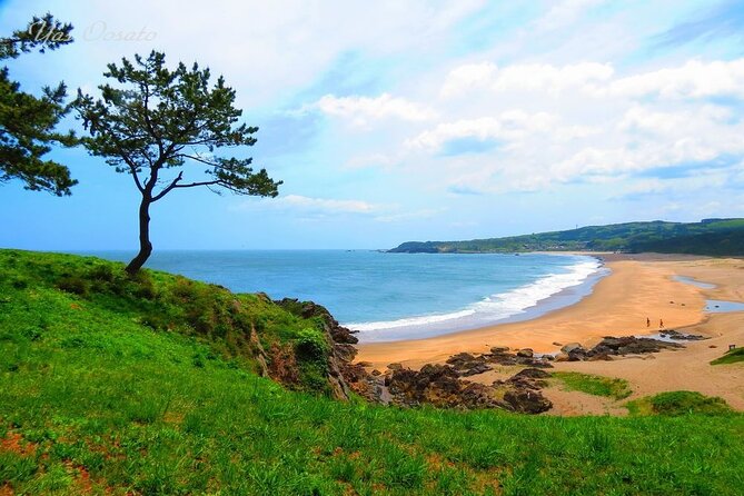 Hachinohe Half-Day Private Trip With Government-Licensed Guide - Cancellation Policy