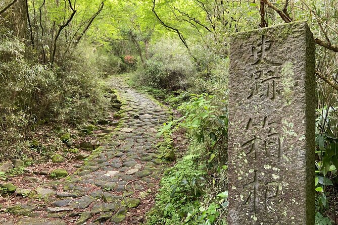 Hakone Old Tokaido Road and Volcano Half-Day Hiking Tour - Reviews