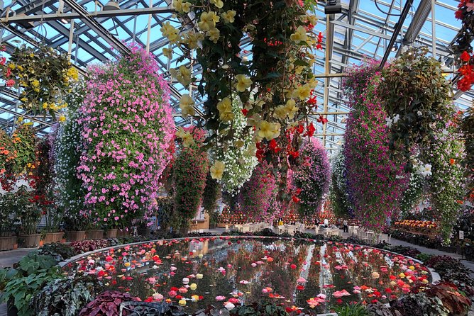 Half-Day Tour to Enjoy Japans Largest Illumination and Outlet - Reviewer Feedback