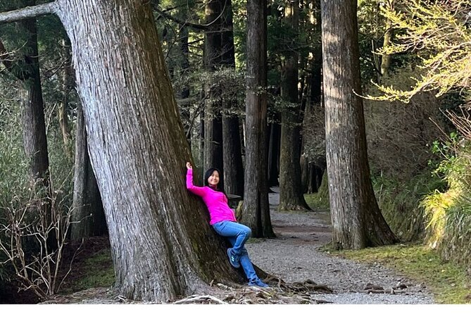 Hike Japan Heritage Hakone Hachiri With Certified Mountain Guide - Highlights of the Japan Heritage Hike