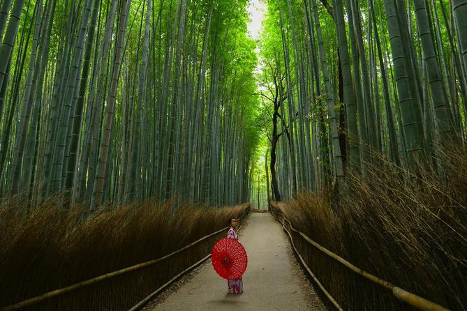 Japan Discovery Tour (12 Days) - Booking and Cancellation Policy