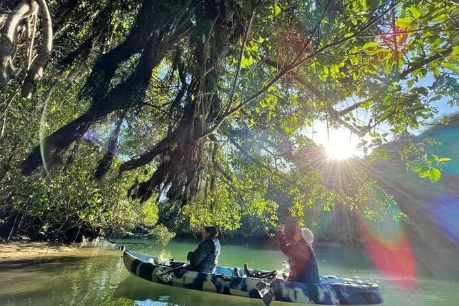 Kadena Mangrove Kayak Tour  - Kadena-cho - Inclusions and Services Provided