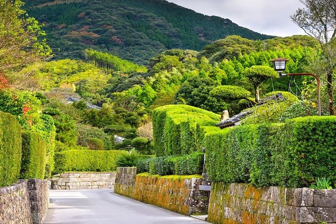 Kagoshima Full-Day Private Tour With Government-Licensed Guide - Questions and Assistance: Viator Help Center