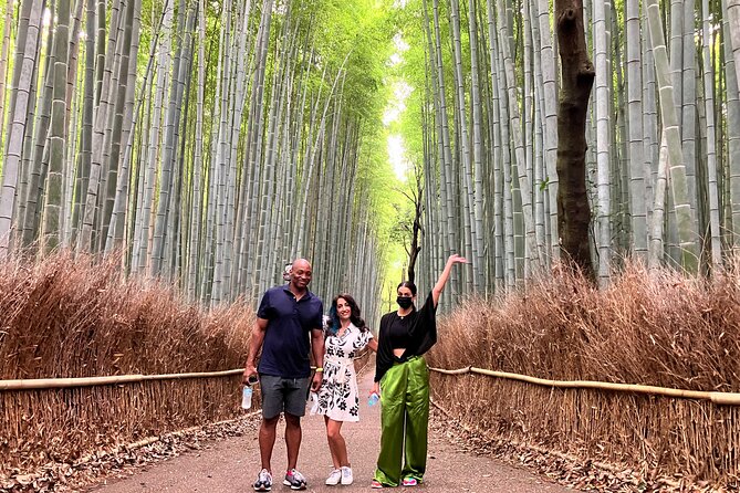 Kyoto 8hr Private Tour With Government-Licensed Guide - Questions and Support