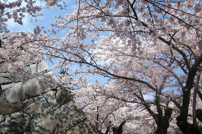 Morioka Full-Day Private Tour With Government-Licensed Guide - Cancellation Policy