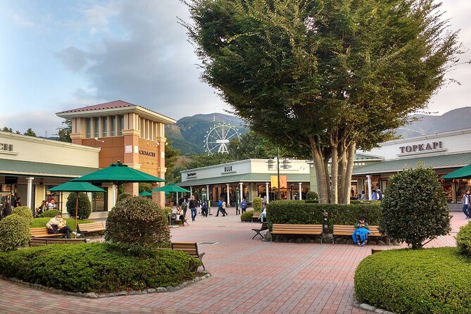 Mount Fuji Panoramic View & Shopping Day Tour - Additional Information