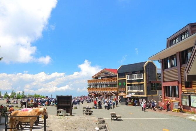 Mt. Fuji, Mt Fuji Panoramic Ropeway & Seasonal Fruits Picking - Fruit Picking Experience