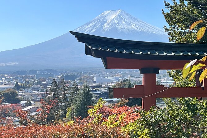 Mt. Fuji Private Sightseeing With Bilingual Chauffeur - Reviews