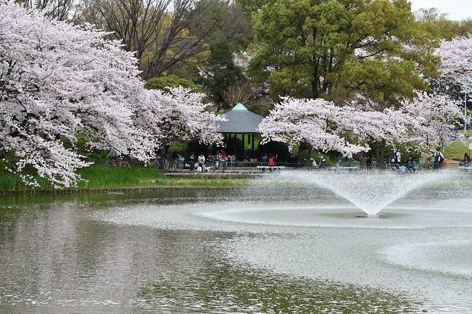 Nagoya Custom Half Day Tour - Overview of the Tour
