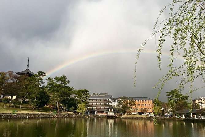 Nara Private Tour (Shore Excursion Available From Osaka or Kobe Port) - Cancellation Policy