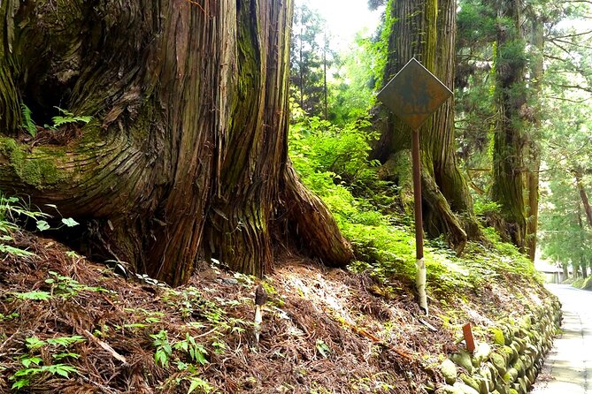 Nikko 1 Day Private Walking Tour - Cancellation Policy