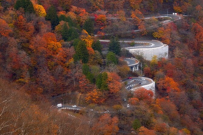 Nikko Private Day Trip With English Speaking Driver - Reviews and Ratings