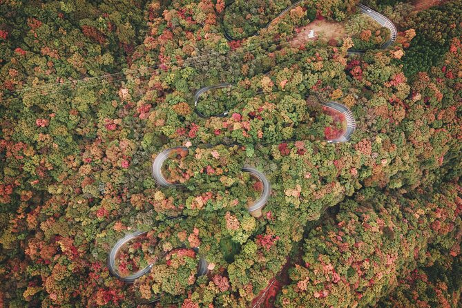 Nikko World Heritage 1 Day Tour - Entrance Fees