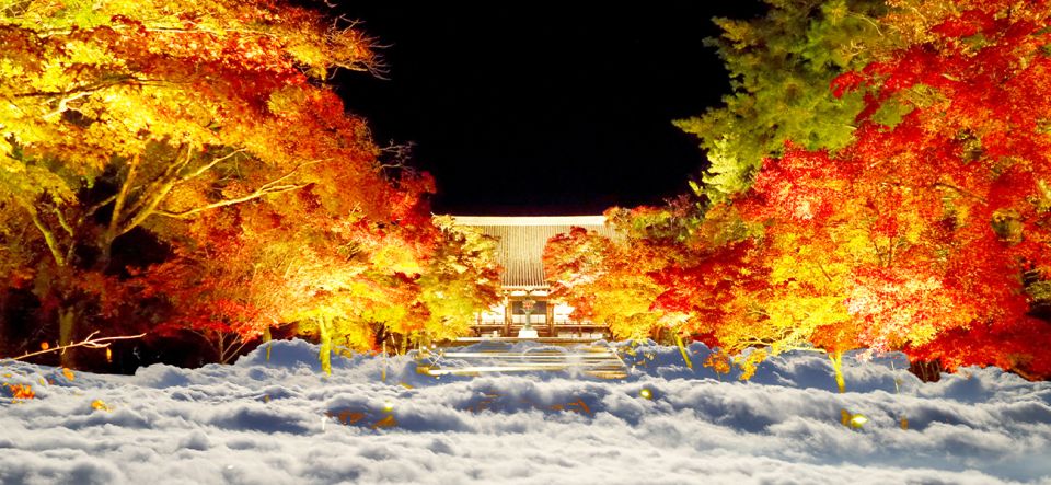 Ninnaji Temple: Special Entry for Unkai Light-up - Highlights of the Ninnaji Temple Visit