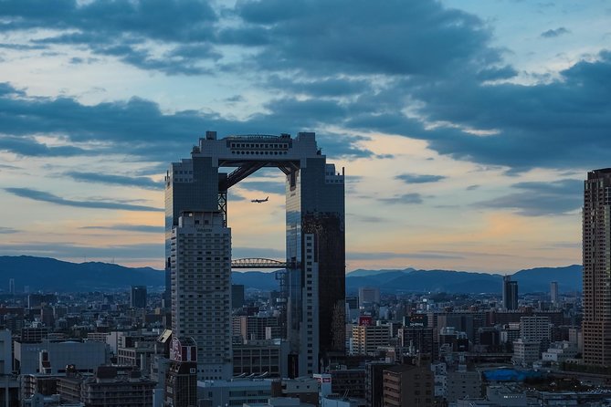 Osaka 1 Day Highlights Private Walking Tour - Overview