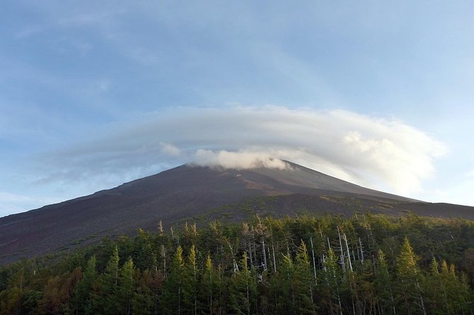 Private 3-Hour Biking Adventure: Descend Mount Fuji  - Fujikawaguchiko-machi - Inclusions: Helmets, Insurance, and Support Car