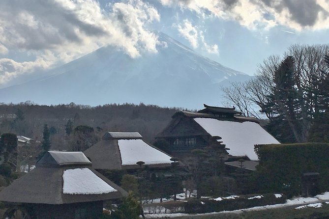 Private Full Day Mount Fuji Tour From Tokyo Including 3 View Spots - Booking Information