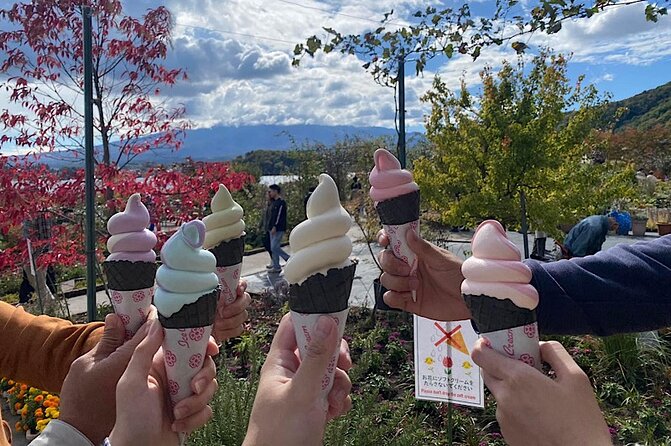 Private Guided MT Fuji and Hakone Full Day Sightseeing Tour - Customer Feedback and Concerns