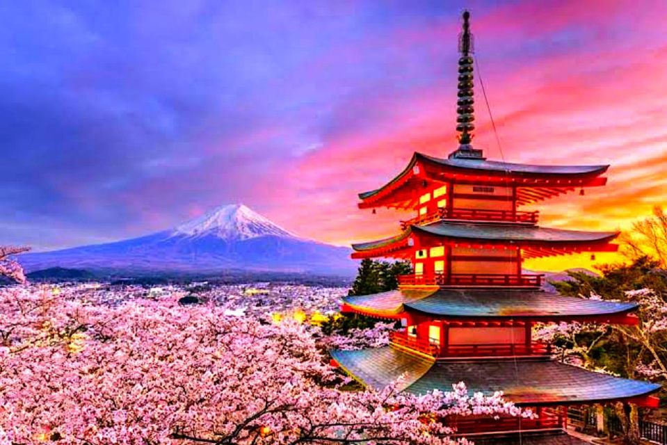 Private Guided Sightseeing Tour To Mount Fuji and Hakone - Language and Guide