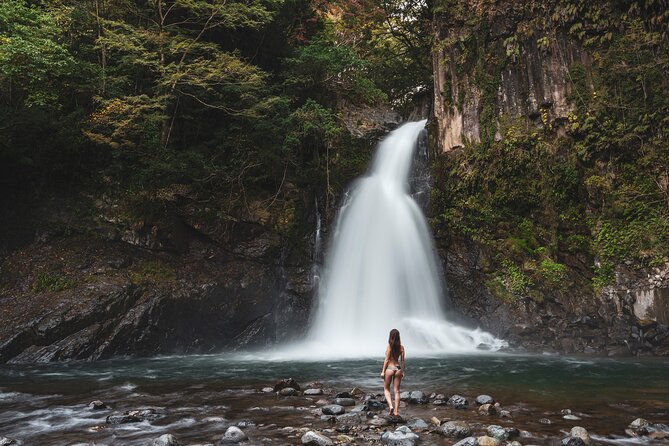 Private Japan Photo Tour - Weather and Minimum Travelers