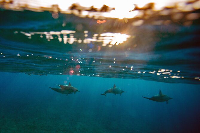 Private Japan Photo Tour - Pickup Details and Policies