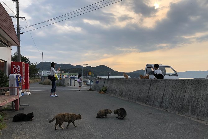 Private Scenic Cycling in Teshima Island Includes Teshima Museum - Noteworthy Stops Along the Way