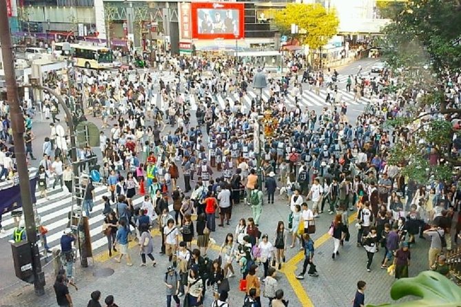 Private Tokyo Custom Walking Tour With a Water Bus Ride - Knowledgeable Tour Guides