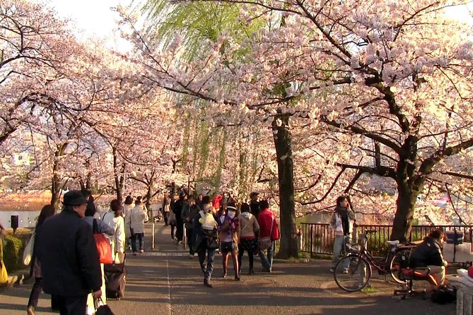 [Private] Tokyo Personalized Tour (Guide Only) - The Sum Up