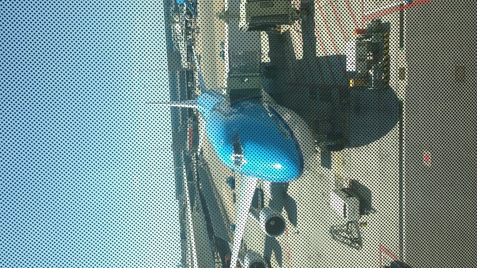 Private Tokyo Tour Guide Japanese Disco, Clubs. Dancing Any Where Translate. - Directions