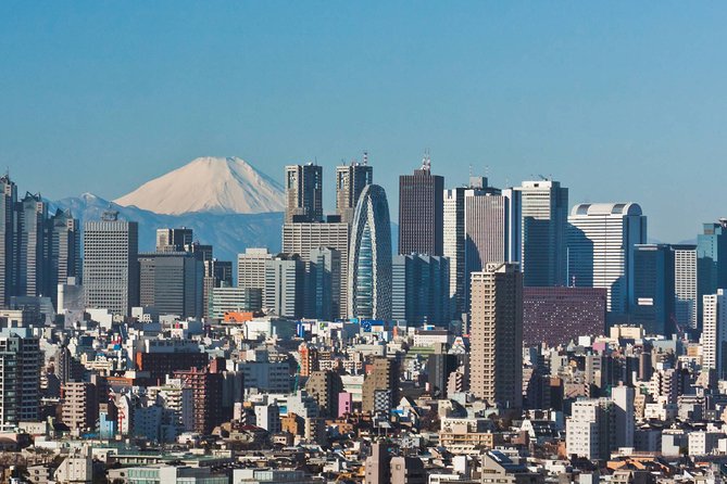 Private Transfer: Haneda Airport HND to Tokyo in Luxury Van - Additional Information