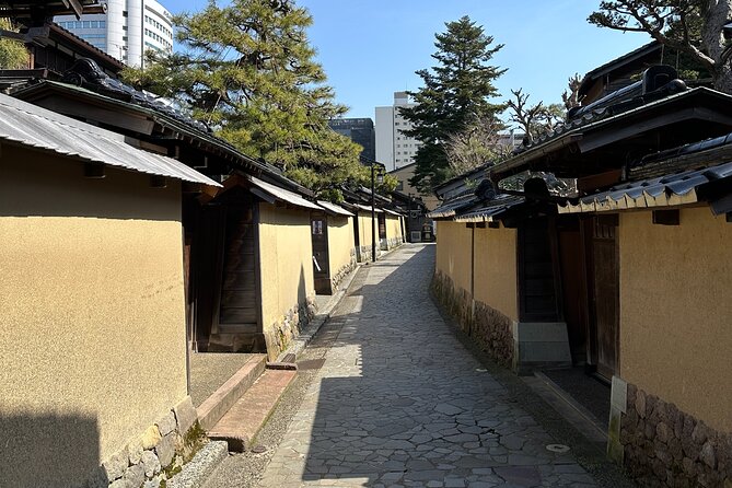 Private Walking Tour in Kanazawa With Local Guides - Cultural Insights and Historical Landmarks