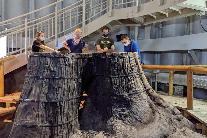 Sanbe Azukihara Principle Buried Forest Park Jomon No Mori - Nature Trails
