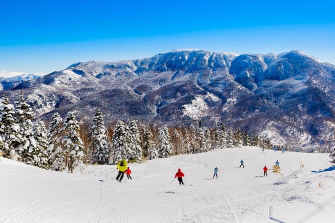 Snow Monkey, Zenko Ji Temple, Sake in Nagano Tour - Nagano City Tour