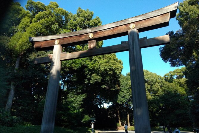 Tokyo 1-Day Private Tour/Customization & Hotel Gathering OK! - Viator, Inc