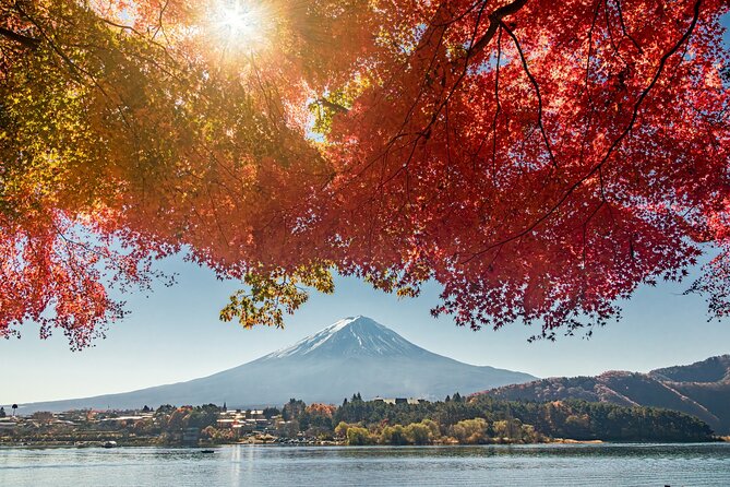 Tokyo: Day Trip to Lake Kawaguchi and Craft Experience - Important Information and Guidelines