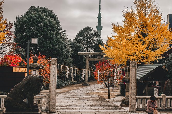 Tokyo Full Day Explorer Walking Tour - Cancellation Policy