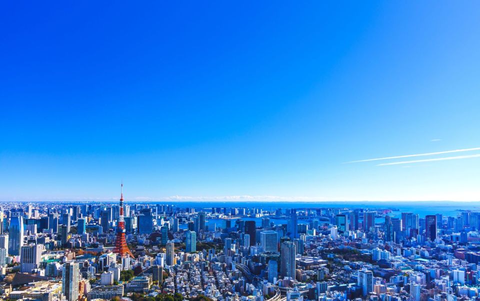Tokyo: Guided Helicopter Ride With Mount Fuji Option - Important Information