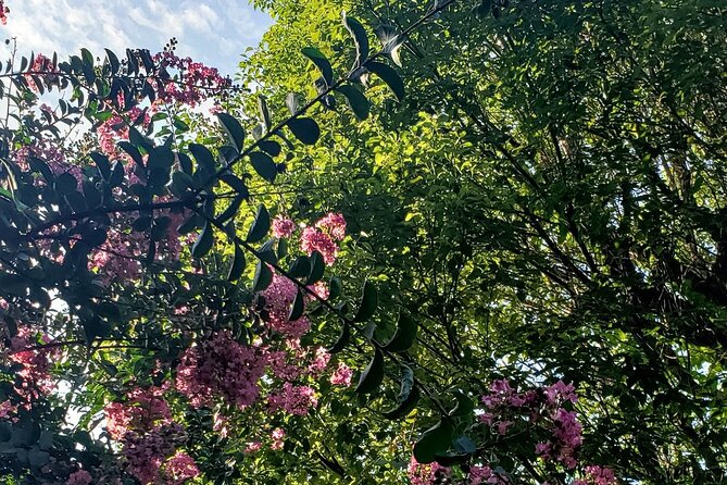 Tokyo Meguro River Private Cultural Tour With Licensed Guide - Meeting and Pickup