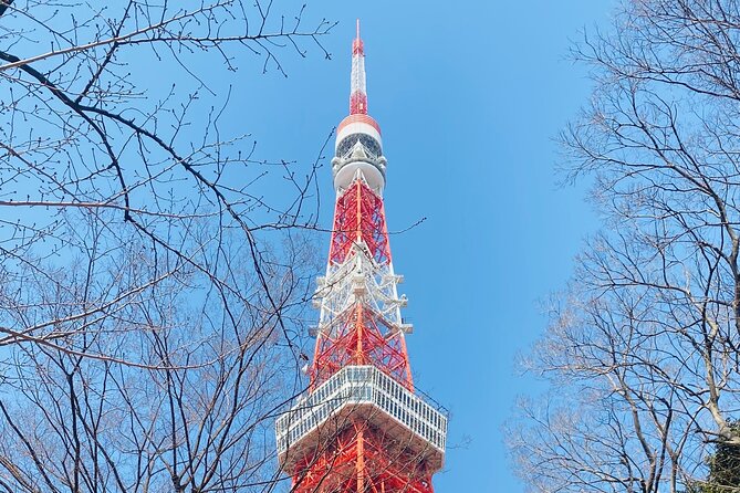 Tokyo Private Custom Tour Around City Area - How to Book Your Private Tour